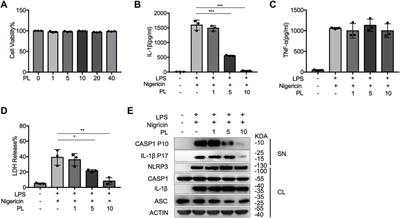 Piperlongumine Is an NLRP3 Inhibitor With Anti-inflammatory Activity